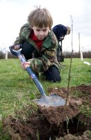Child planting tree - FC Picture Library / Andrew Fox