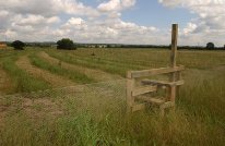 Community forest access stile - FC Picture Library