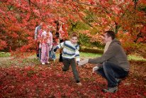 Family having fun amongst autumn woodland - FC Picture Library